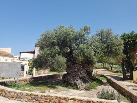 Villa Margarita'S Farm, Private Pool Malathiros Экстерьер фото